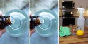 httpswishfulyou.comrosemary-castor-oil-hair-growth-recipes_20260529172124