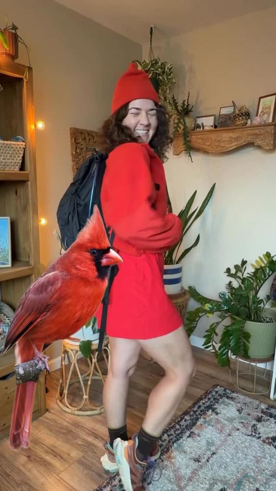 19 Bird Inspired Hiking Outfits Image