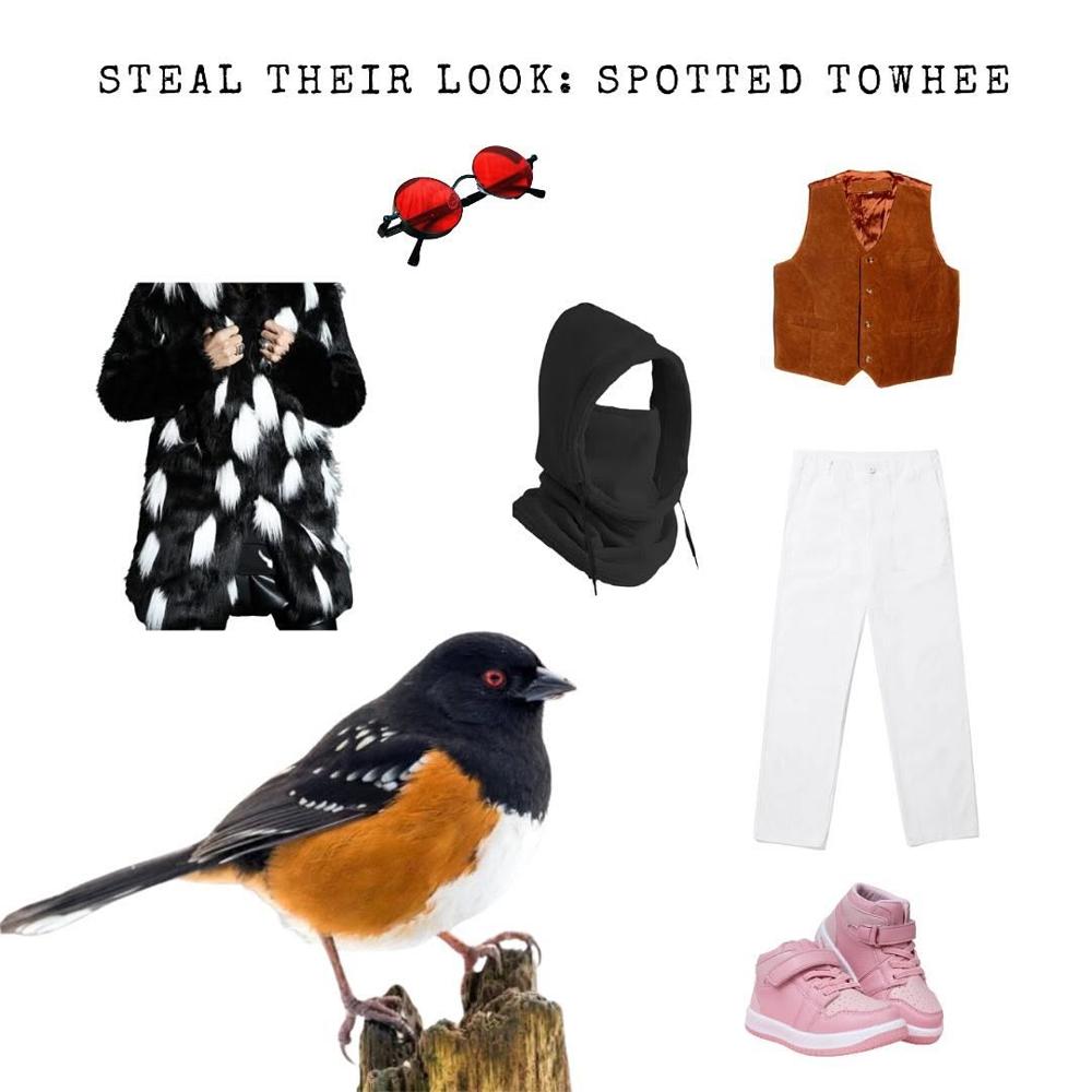 19 Bird Inspired Hiking Outfits Image