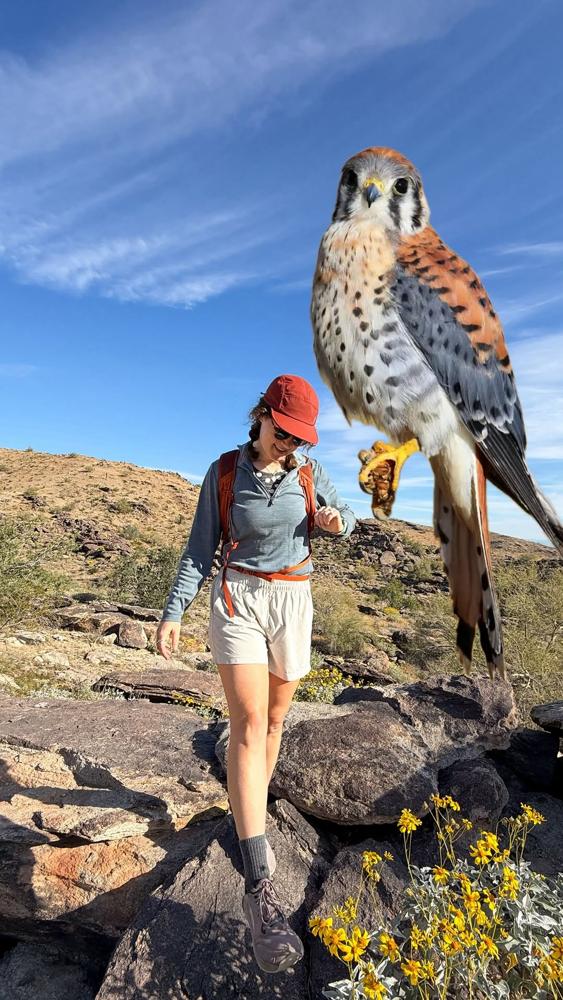 19 Bird Inspired Hiking Outfits Image