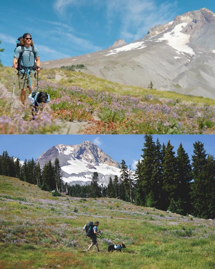 19 Bird Inspired Hiking Outfits Image