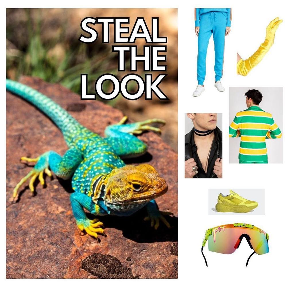 19 Bird Inspired Hiking Outfits Image