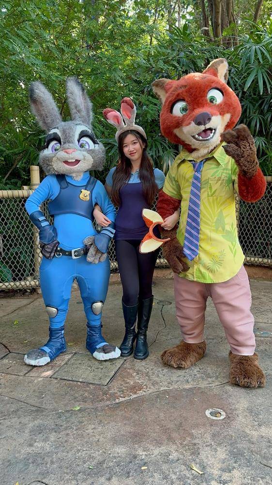 23 Zootopia Disneyland Outfits Image