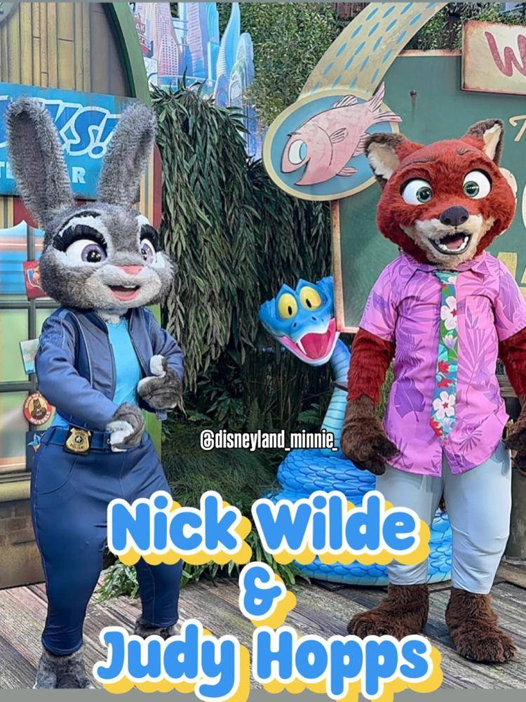 23 Zootopia Disneyland Outfits Image