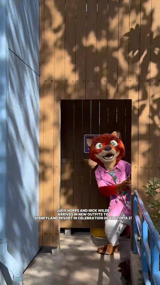 23 Zootopia Disneyland Outfits Image