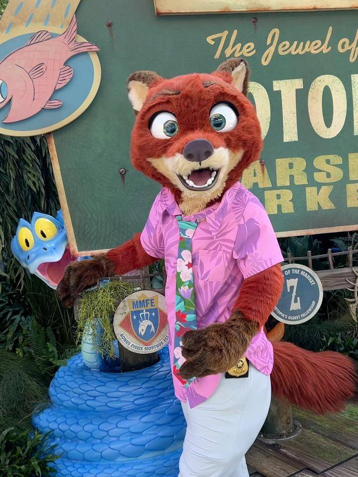 23 Zootopia Disneyland Outfits Image