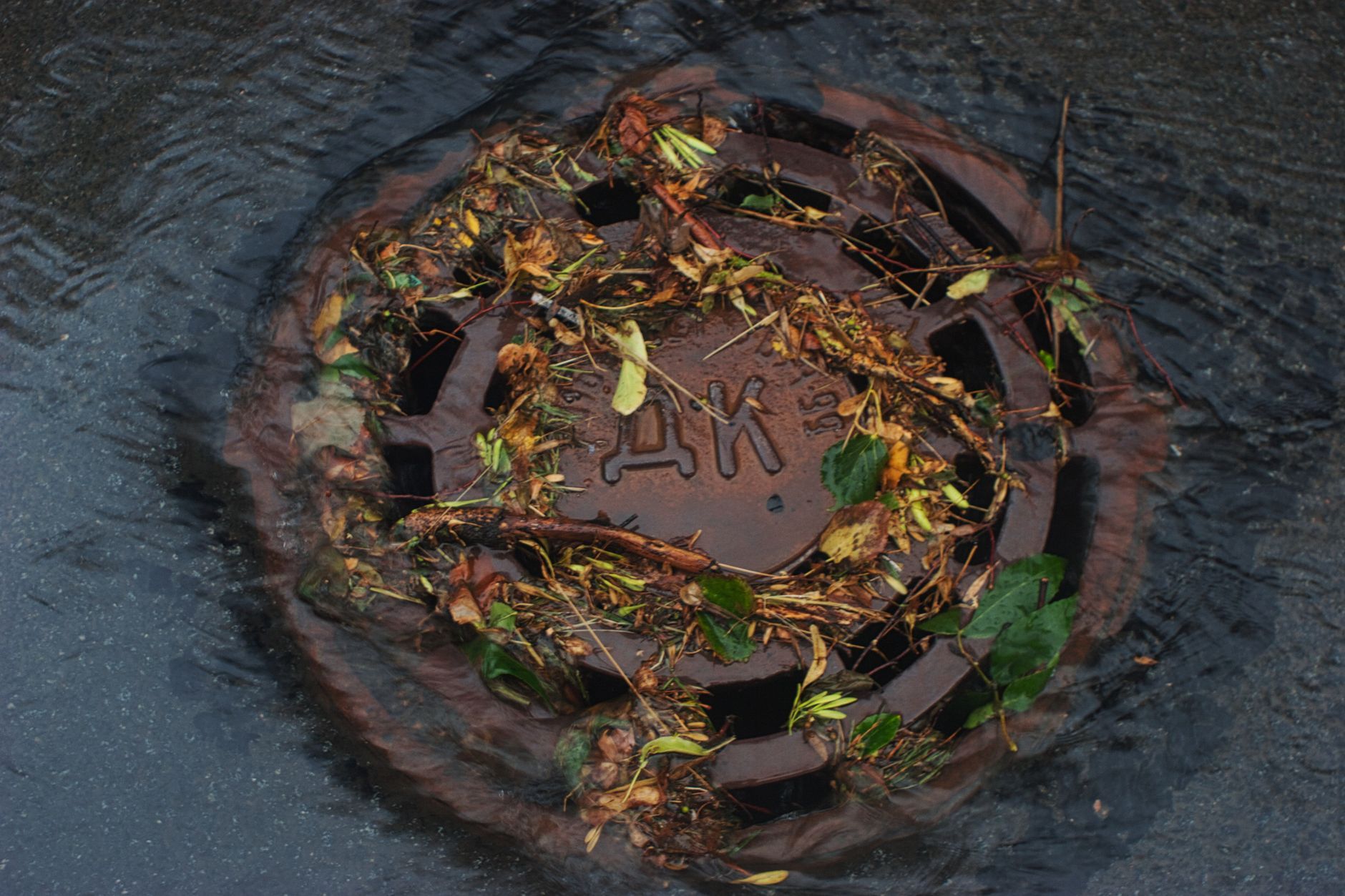Person cleaning a clogged shower drain with homemade solution