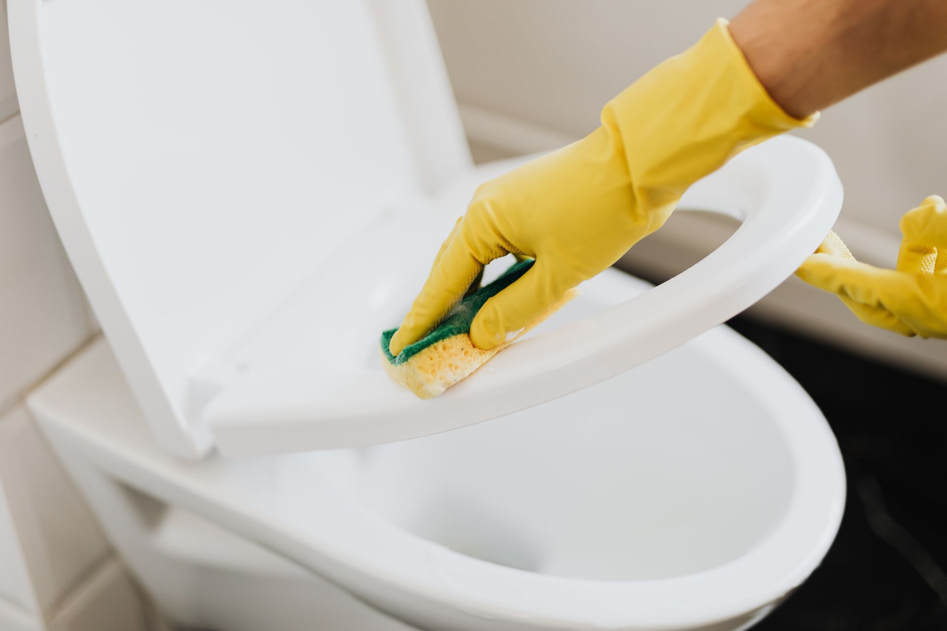 Toilet cleaning supplies for a blog post