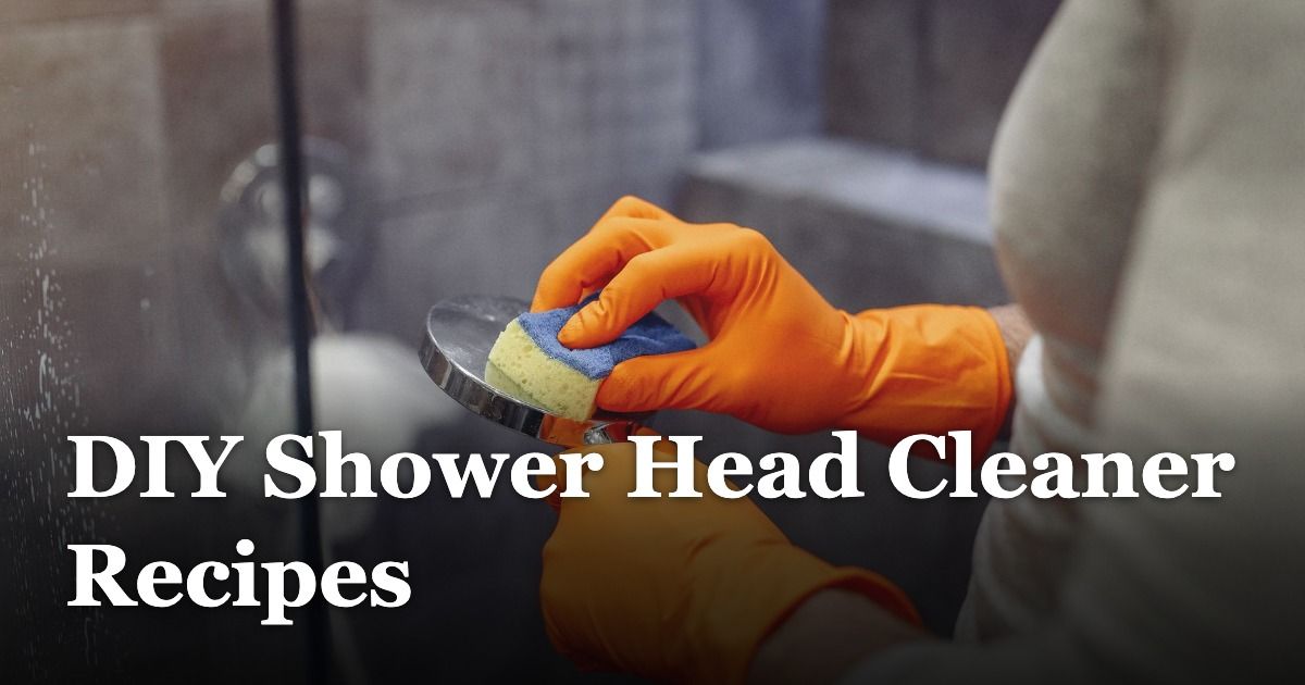 DIY Shower Head Cleaner Recipes