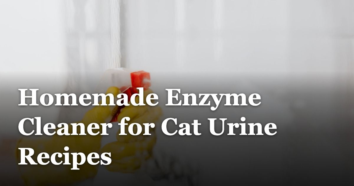 Homemade Enzyme Cleaner for Cat Urine Recipes
