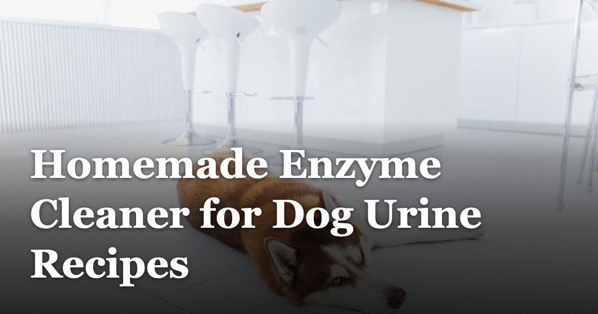 Homemade Enzyme Cleaner for Dog Urine Recipes