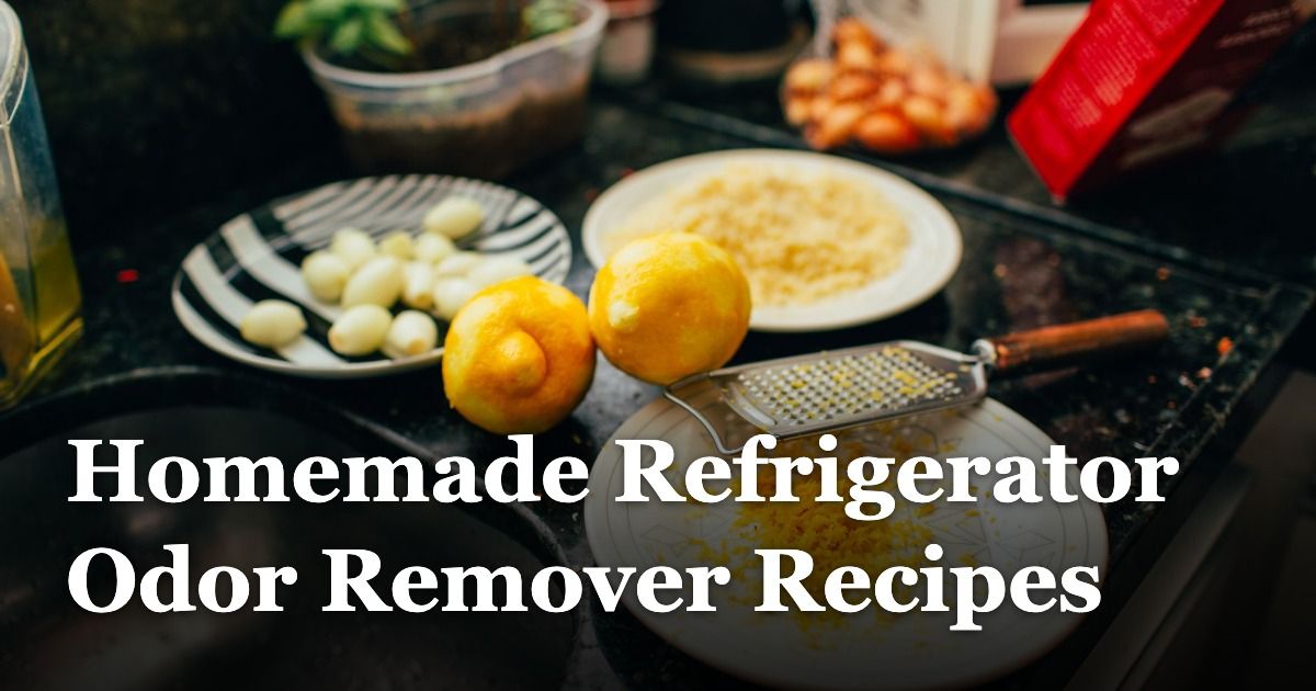 Homemade Refrigerator Odor Remover Recipes