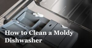 featured_image_How_to_Clean_a_Moldy_Dishwasher_ce0fae75-c3b4-4035-b344-596247b83699