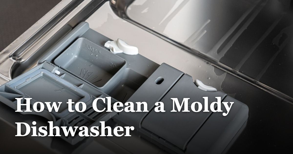How to Clean a Moldy Dishwasher