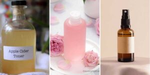 httpswishfulyou.comhomemade-toners-for-dry-skin-recipes_20260807164253